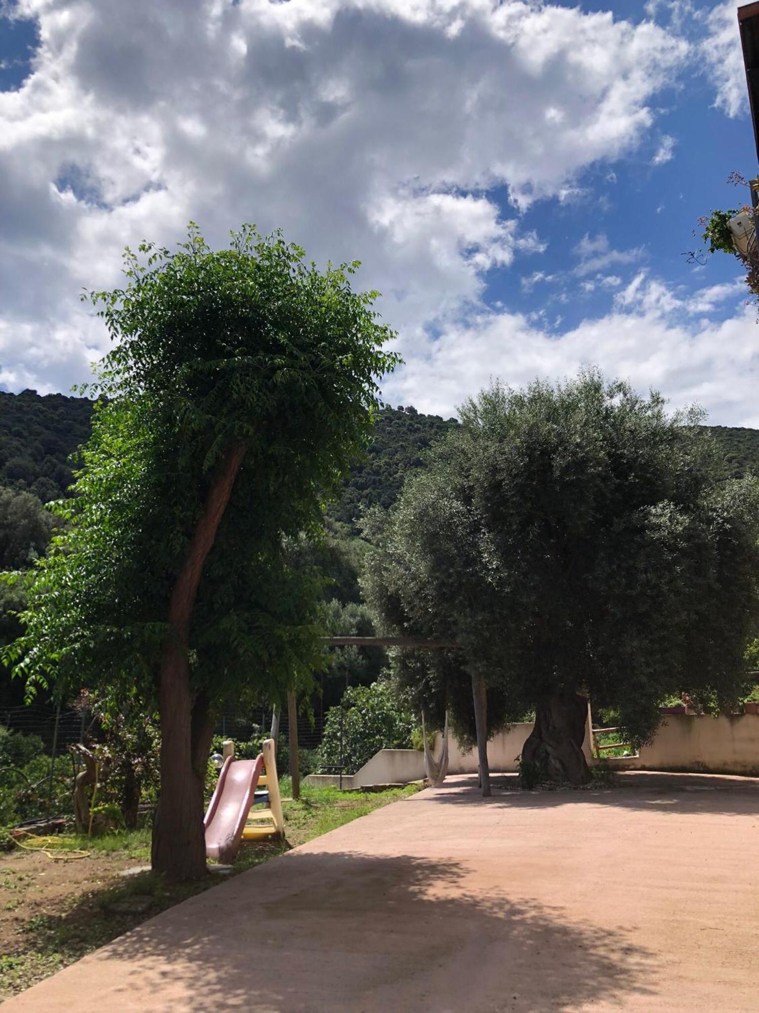 Appartamento Maremontagna Cardedu Exteriör bild